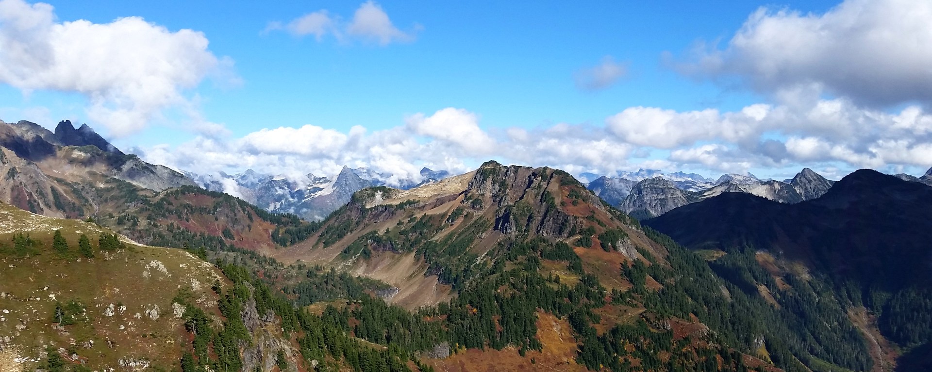 Yellow Aster Butte