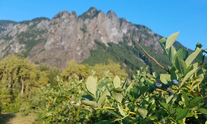 2018-08-10 19.06.29 EDIT